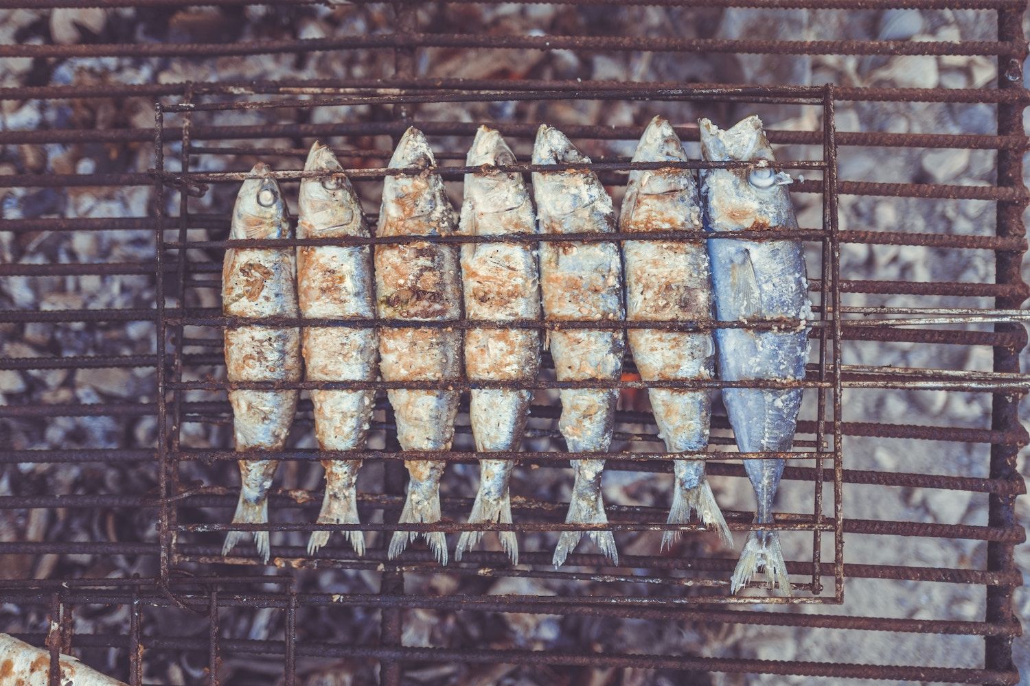 Use Mackerel instead of Monit